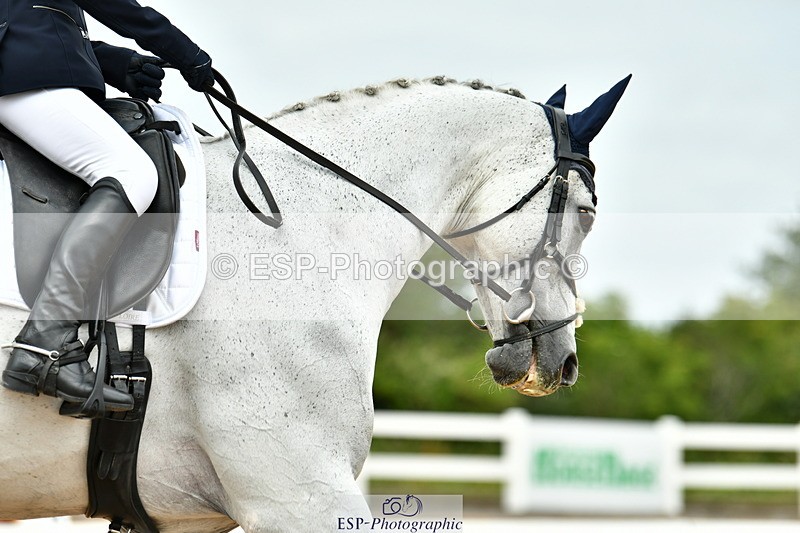 230702A-121119-09564 - Cls 28 Elementary 45