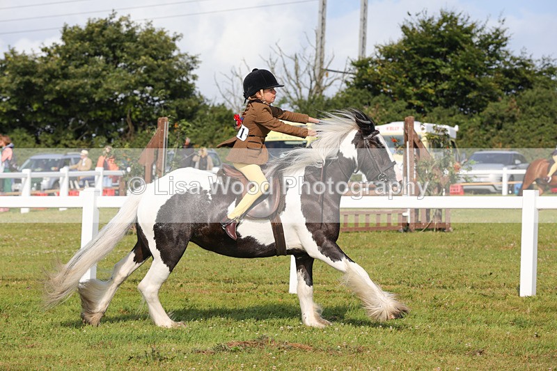 1X9A3319 - Class 28: Ridden Native/Trad Coloured Pony
