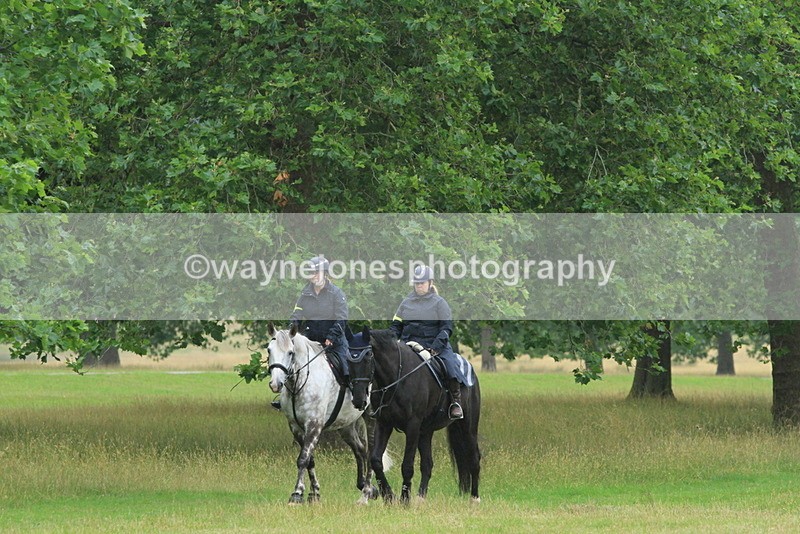 IMF_1499 - Time at Castle Jump 09:18 to 10:15