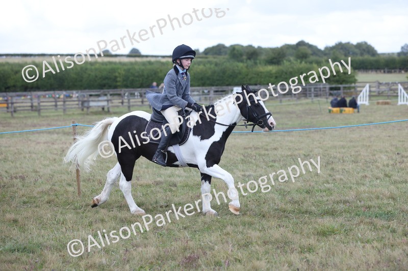 20250831-4249 - Class 20 - Ridden Coloured