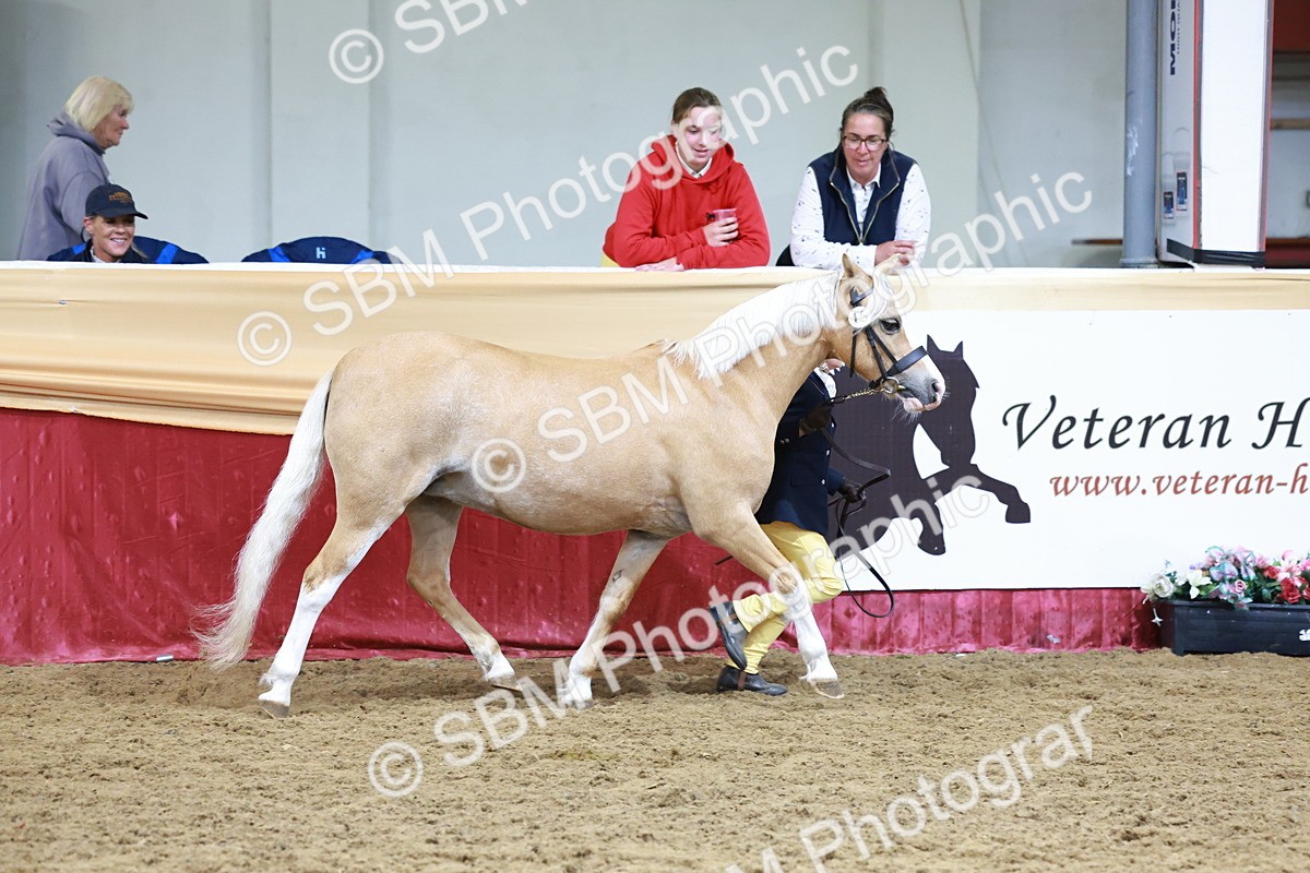 SBM_19938 - Class A - Junior Champ 10yr and Under
