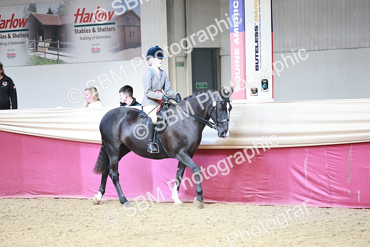 SBM_08620 - Regional Ridden Champ