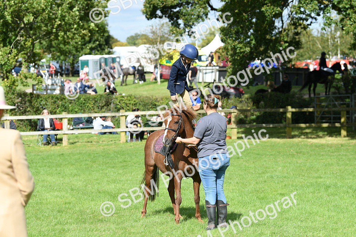 SBM_47161 - S12 - Family Horse & Pony