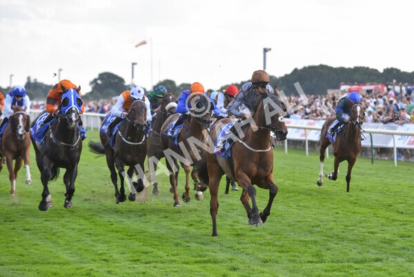 yr20082022r5-23 - Race 5 4.10pm Sky Bet Constantine Stakes