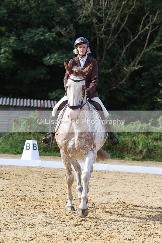 3E7A2394 - Class 1: Intro 4 2024 section A