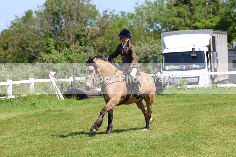 3E7A6782 - Working Hunter Pony Championship