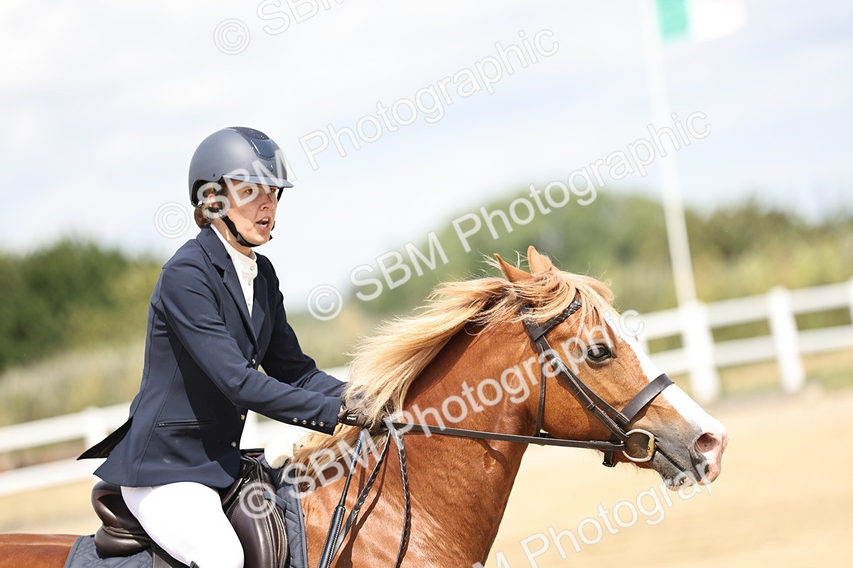 SBM_004515 - 70cm showjumping