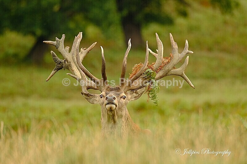  - Wildlife and Nature