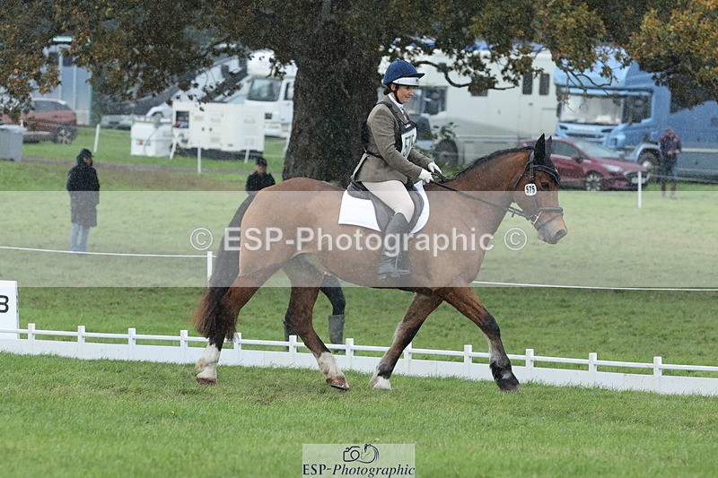 251024A-145543-14315 - G-575-Victoria.Woodland