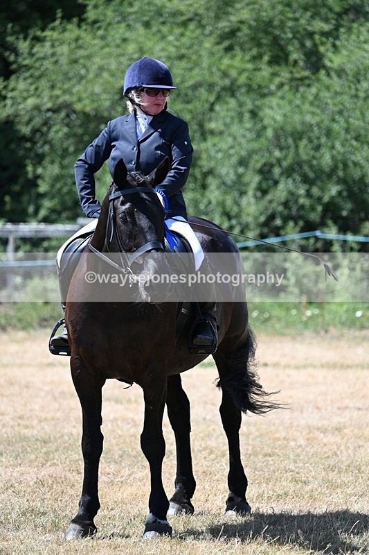 WJ7_3200 - Class 7 Riding Club Show Horse