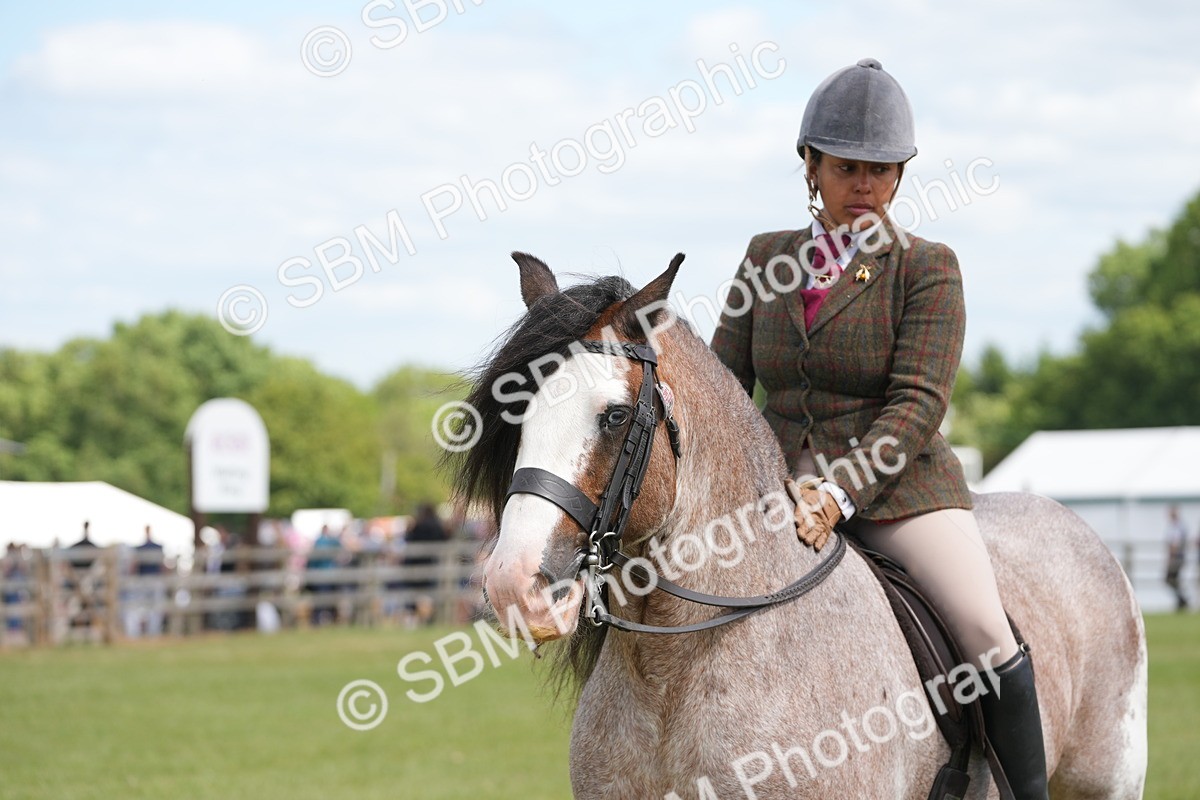 SBM_17194 - Class 107-108 - LIHS BSPS Performance Coloured Horse Pony