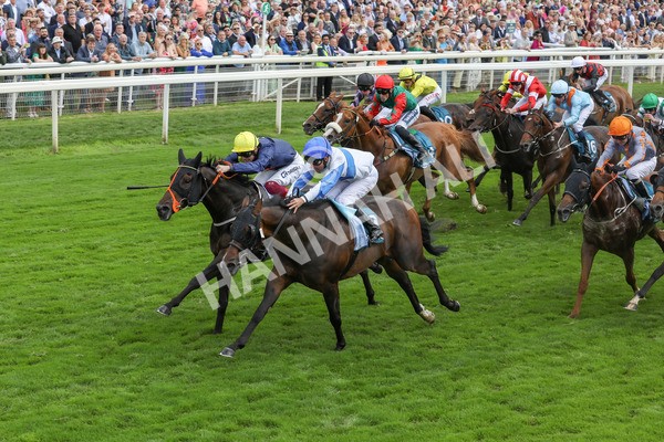 240823-Race 3-Ropey Guest-5177 - Race 3 3.00pm Clipper Handicap