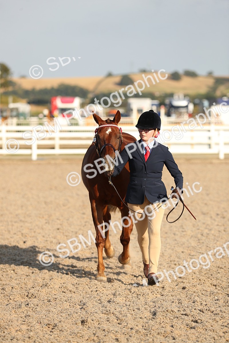 SBM_08980 - Class 29 IH Veteran Pony