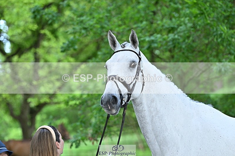 250521A-170314-01492 - C-283-Laura.Collett-COOLEY.ICEAGE