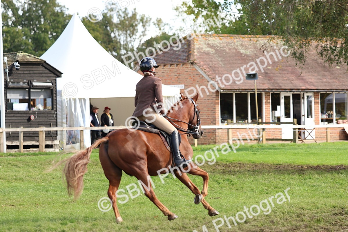 SBM_47777 - S28 - Veteran Ridden