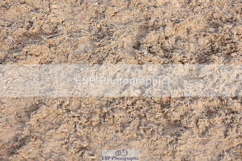 250629-185817-14062 - Cls 39-41 Children on Horses