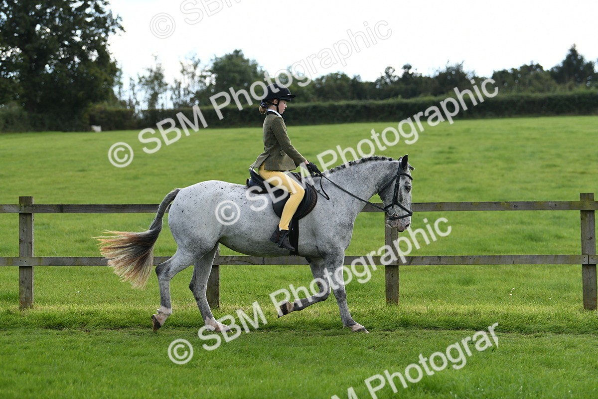 SBM_46754 - S12 - Family Horse & Pony