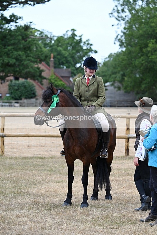 WJ7_0719 - Class 6 Ridden Mountain and Moorland