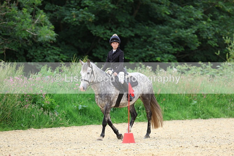 3E7A9574 - Walk trot run