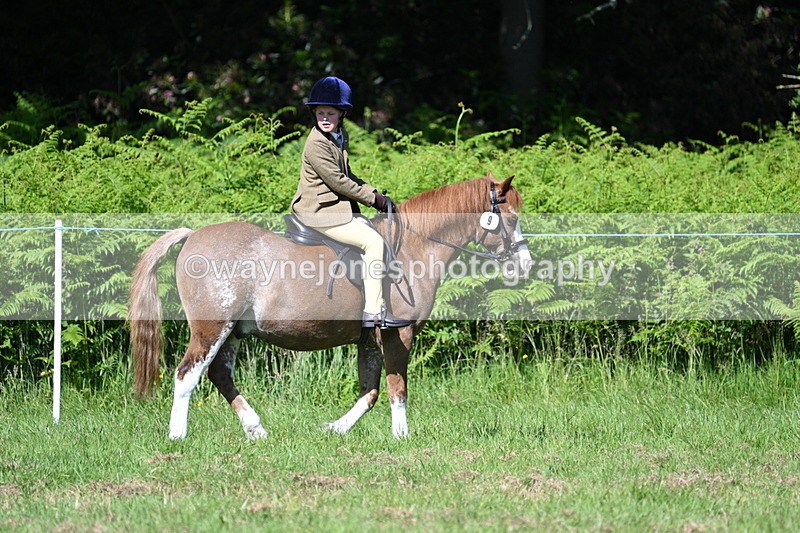 WJ7_0652 - Class 8 First Rally Pony