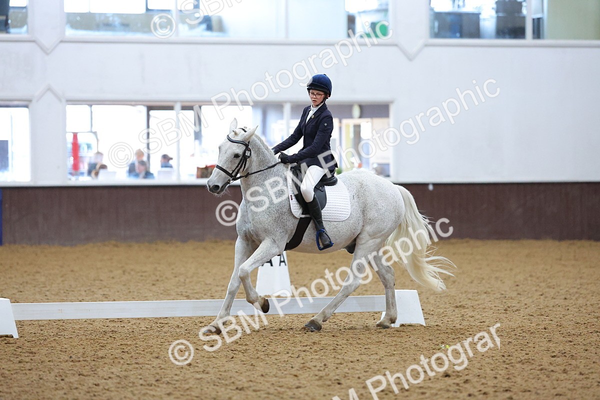 SBM_004151 - Intermediate