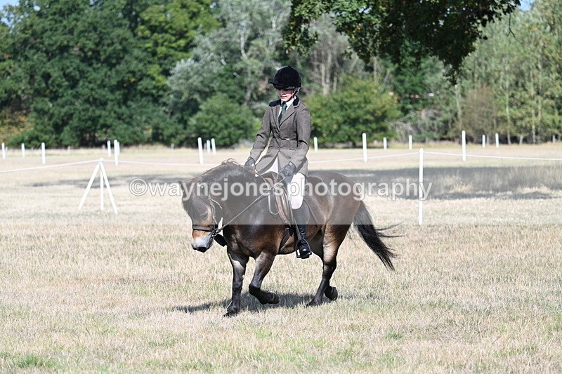 WJ7_2929 - Class 8 Ridden Tack & Turnout