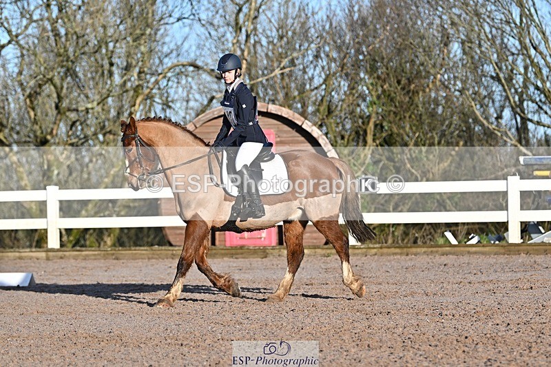 250125-092845-00052 - Dressage - CT Class 1 & 2 Intro 1