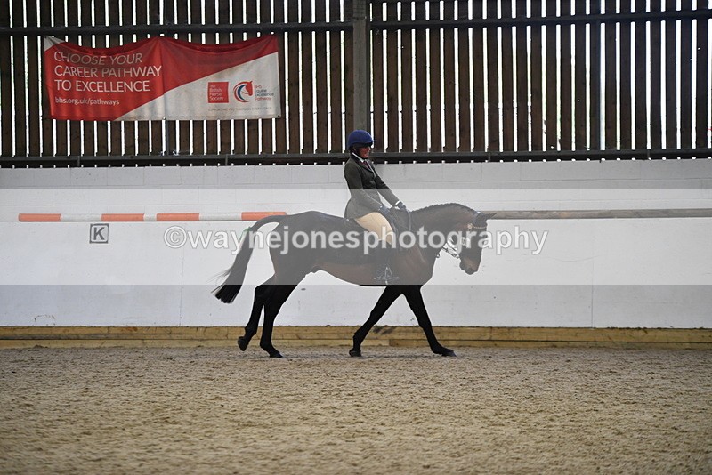 WJ5_8026 - Class 13 Ridden Part Breed