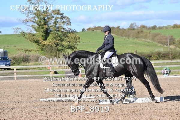 BPP_8919 - LONG ARENA