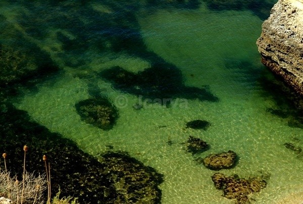 Green Transparency - Seascapes