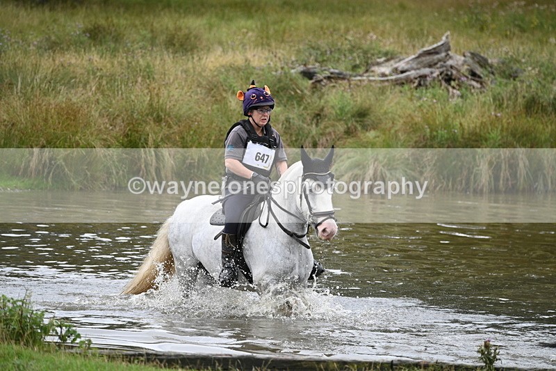 WJ7_2674 - Time at Water 11:37 to 12:13