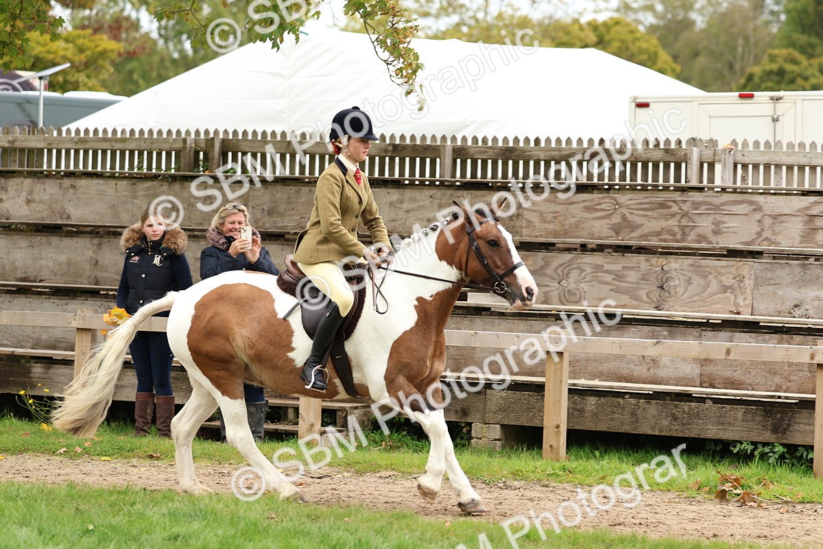 SBM_65208 - S59 - Part Bred Arab & Native Pony Ridden