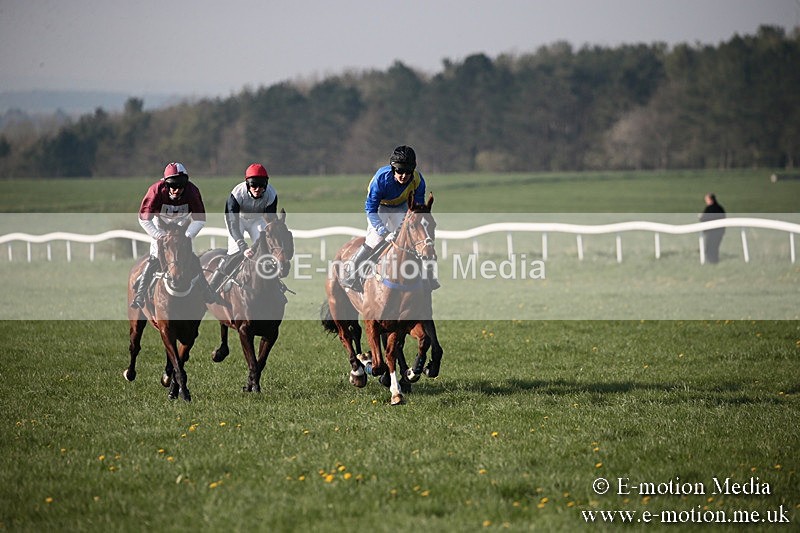 PtP 210418 603 - South & West Wilts Point-to-Point Larkhill 21/04/18