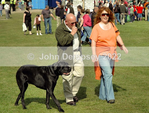 Glamis 10 web - Walking the Dog