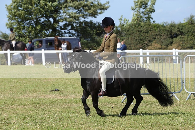 1X9A5615 - Class 39: NPS Dartmoor, Exmoor, Shetland