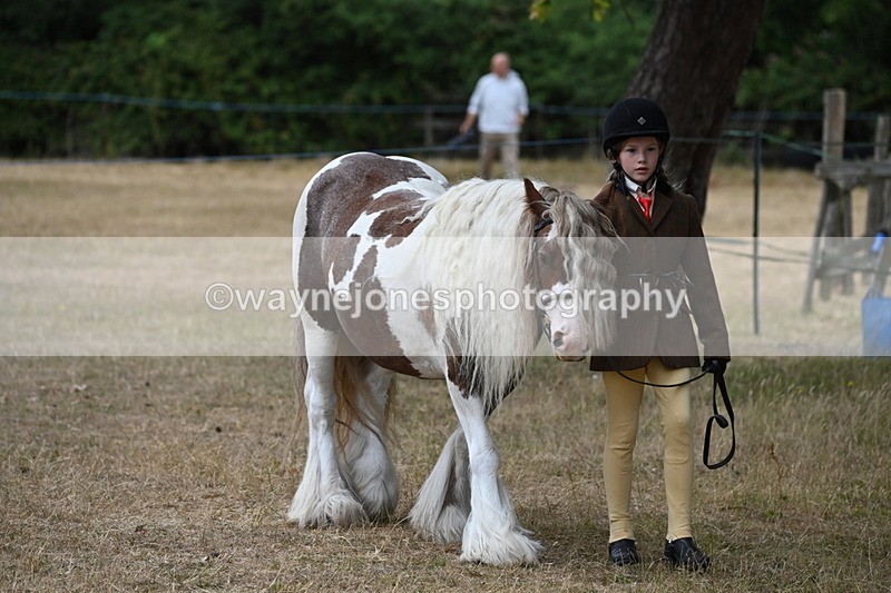 WJ6_7905 - Class 10 Coloured in Hand