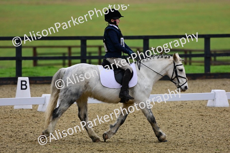 20260125-0522 - Class 9b - Walk Trot Unassisted