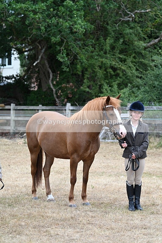 WJ7_8137 - Class 4 Prettiest Mare up to 14.2hh