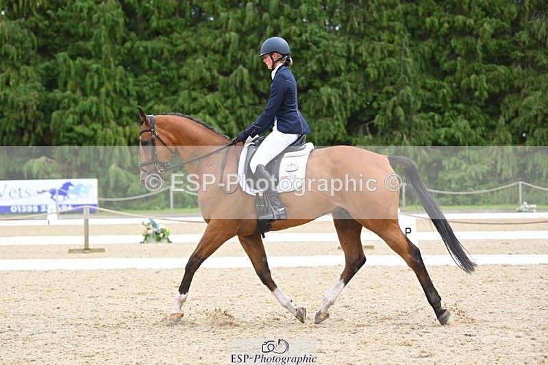 230813-133351-07598 - Cls 13 Medium Bronze 13.15 to End