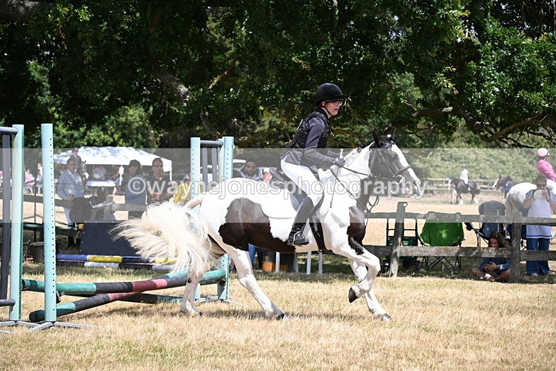 WJ6_5431 - Class 12 Minimus Jumping 45cm