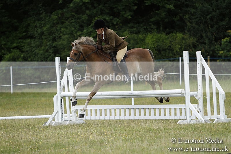 BVR160717-354 - Ring 3 BVRC Show 16/07/17