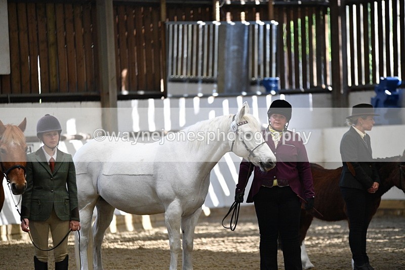 WJ5_3542 - Class 5 In Hand Veterans
