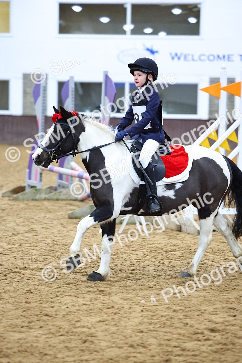 SBM_001299 - Class 3 - Christmas Tree Stakes - 60cm