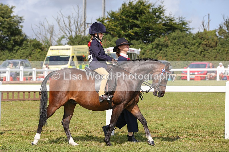 1X9A3555 - Class 29: Lead Rein SP/SHP