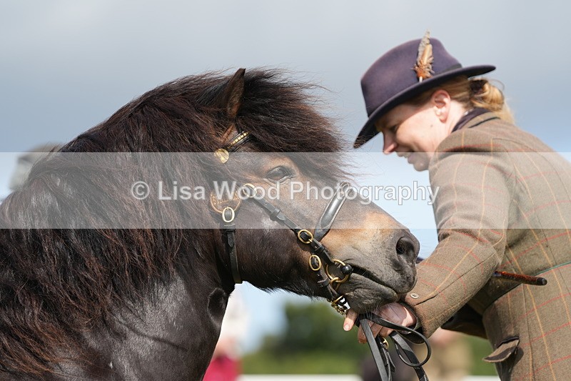 DSC05319 - Class 49: NPS Shetland 4 years and over