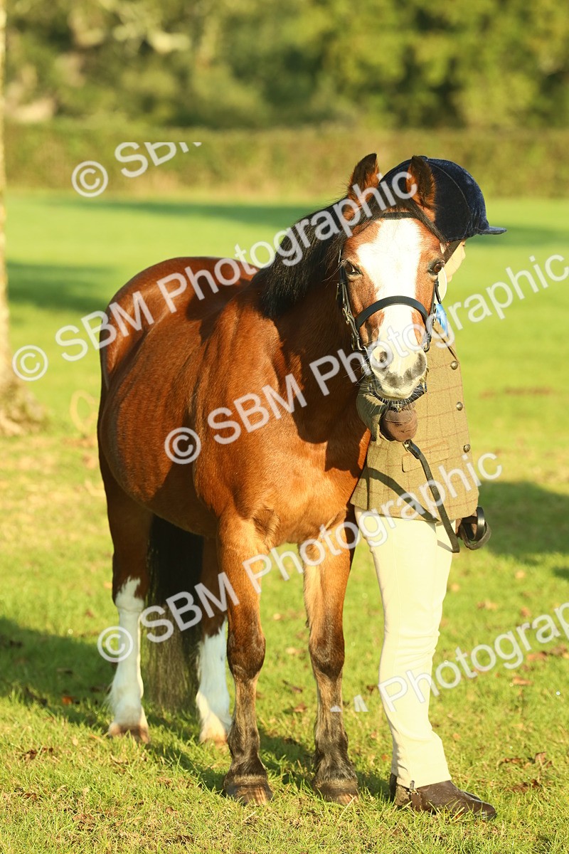 SBM_56694 - S36 - Starters Best Turnout