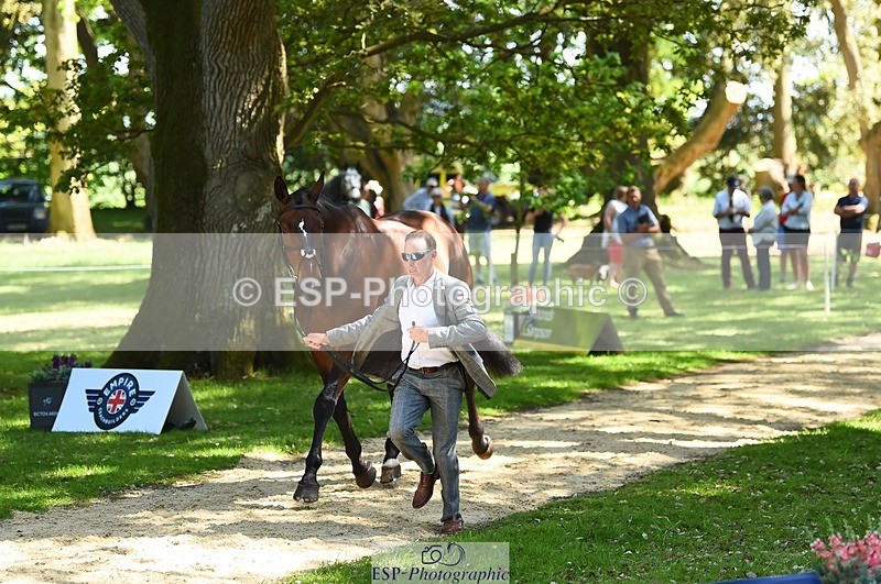 230524-151146-00119 - 354-TREWORDER-Michael_Owen-WEDTrotUp+DR