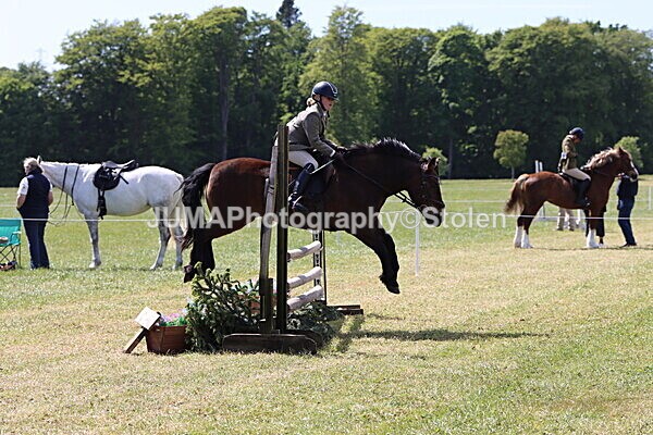 IMG_4277 - Working Hunter
