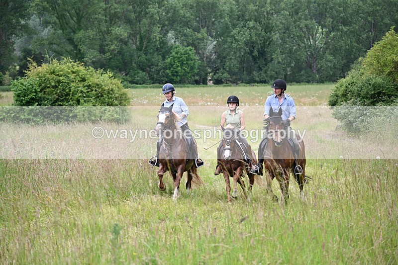 WJ6_8450 - Camera 1 Gallops