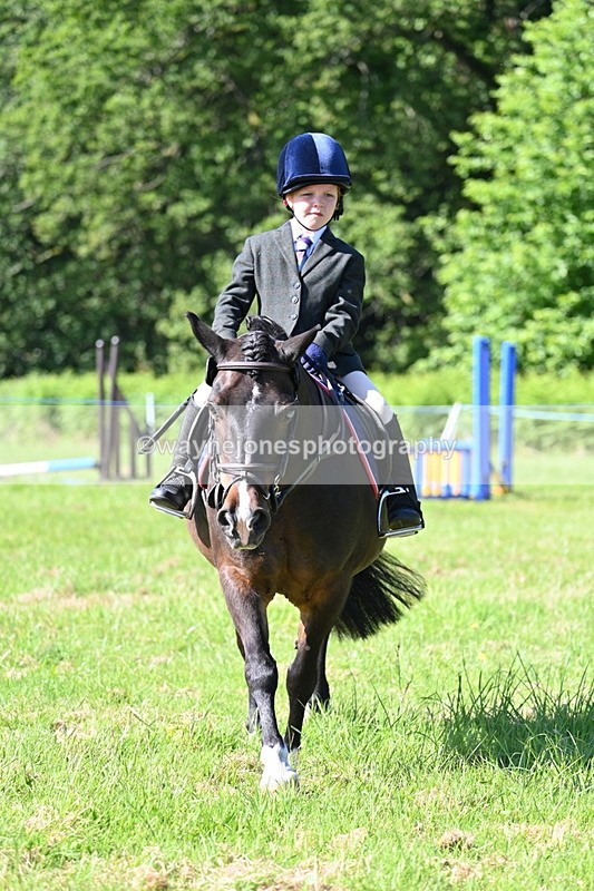 WJ7_0357 - Class 8 First Rally Pony